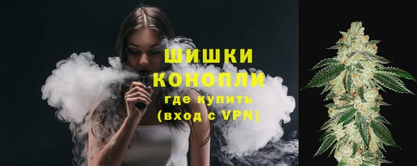 сатива Абдулино