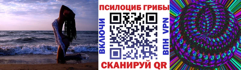 mega зеркало Горбатов Галлюциногенные грибы Psilocybe